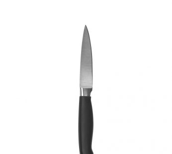 Professional 4” Paring Knife